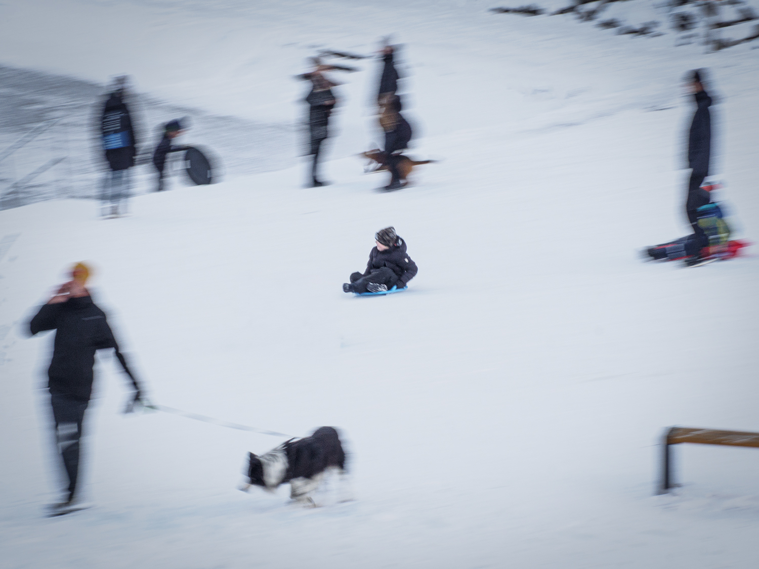 Winter in full swing