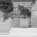 lady in the park